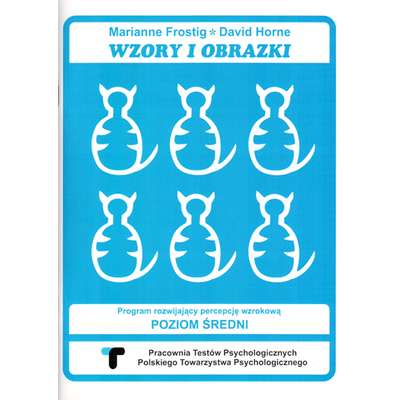 Wzory i obrazki. Program rozwijający percepcję wzrokową. Poziom średni. Zeszyt ćwiczeń