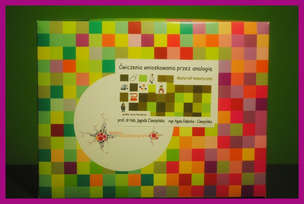 Ćwiczenia wnioskowania przez analogię