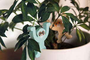 Piramida Małpki (Monkey Pyramid) - gra zręcznościowa