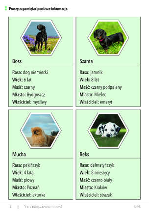 Terapia umysłowa osób dorosłych. Terapia funkcji poznawczych - poziom 2