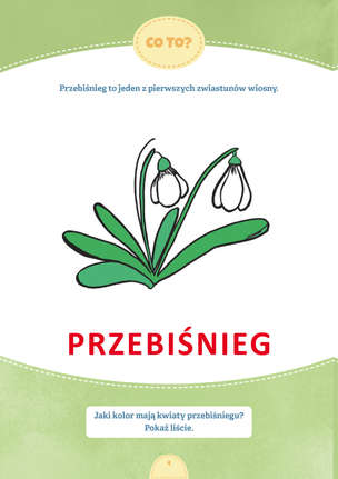 Każdego dnia mówię więcej. Materiały edukacyjne dla uczniów ze specjalnymi potrzebami i trudnościami w komunikacji - WIOSNA