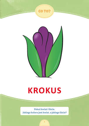 Każdego dnia mówię więcej. Materiały edukacyjne dla uczniów ze specjalnymi potrzebami i trudnościami w komunikacji - WIOSNA