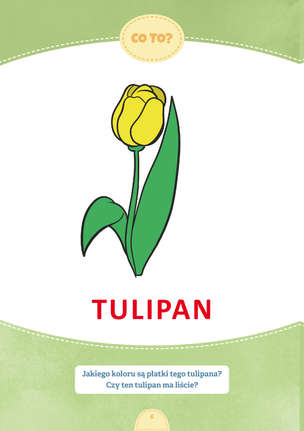 Każdego dnia mówię więcej. Materiały edukacyjne dla uczniów ze specjalnymi potrzebami i trudnościami w komunikacji - WIOSNA