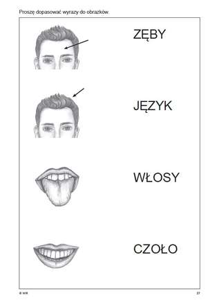 Terapia umysłowa osób dorosłych. Ćwiczenia do terapii afazji. Część 6