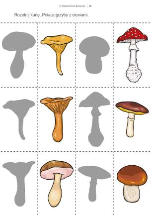 Zajęcia korekcyjno-kompensacyjne. Karty pracy dla uczniów ze specjalnymi potrzebami edukacyjnymi. Część 1