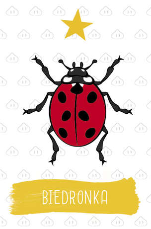 Logoświnki. Logopedyczna gra karciana