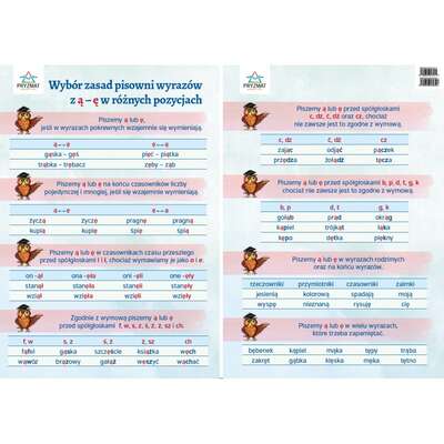 Plansze ortograficzne - zestaw 12 plansz