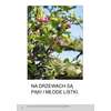 Bardzo proste czytanki dla dzieci - WIOSNA