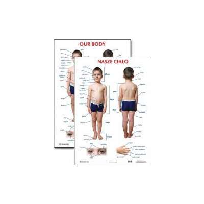 NASZE CIAŁO / OUR BODY - plansza edukacyjna
