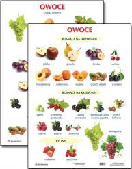 OWOCE - plansza edukacyjna