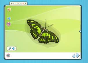 Obrazkowy słownik tematyczny - Zestaw materiałów multimedialnych wzbogacających zasób leksykalny i kształtujących umiejętność zastosowania nowo poznanego słownictwa (program komputerowy. Wersja 2.0)