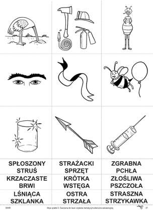 Moje sylabki - wczesna nauka czytania metodą symultaniczno-sekwencyjną. Zestaw 5 (pierwsze wydanie)