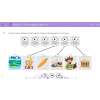 mTalent (program multimedialny) - Ortografia