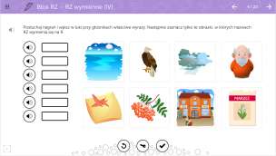 mTalent (program multimedialny) - Ortografia