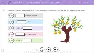 mTalent (program multimedialny) - Ortografia