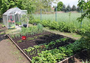 Karty demonstracyjne. Materiały edukacyjno-terapeutyczne. MARZEC