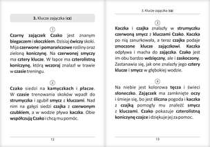 Historyjki obrazkowe. Papuga Aga Opowiada. Część 3 - SZ, Ż/RZ, CZ, DŻ