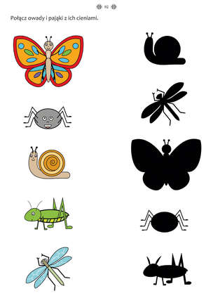 Karty pracy na koncentrację. Edukacja przedszkolna