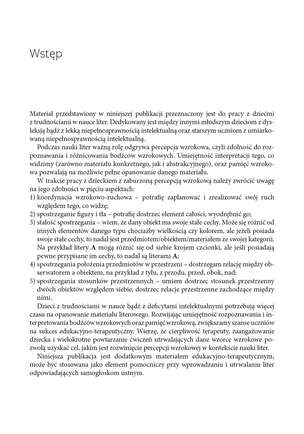Rzuć okiem na litery: A, O, U, Ó, E, I, Y. Ćwiczenia doskonalące percepcję wzrokową na materiale literowym
