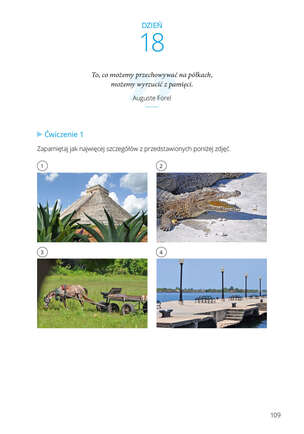 Umysł lubi tworzyć. Ćwiczenia pamięci i innych funkcji poznawczych na każdy dzień miesiąca