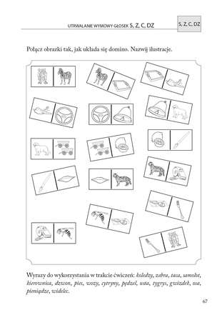 Zdania obrazkowo-wyrazowe. Materiał do terapii głosek S, Z, C, DZ