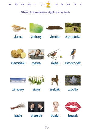 Zdania obrazkowo-wyrazowe. Materiał do terapii głosek ś, ź, ć, dź
