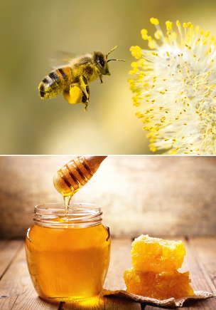 Karty demonstracyjne. Materiały edukacyjno-terapeutyczne. MAJ