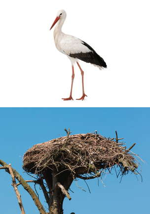 Karty demonstracyjne. Materiały edukacyjno-terapeutyczne. MARZEC