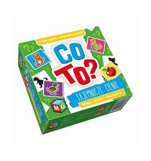 Co to? Tajemnicze cienie. Szukaj, kojarz, zapamiętaj - gra edukacyjna