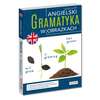 Angielski. Gramatyka w obrazkach - skuteczna nauka metodą wizualną
