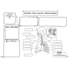 Biologia. Graficzne karty pracy dla klasy 7