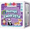 BrainBox. Poznaję kolory - gra na spostrzegawczość i pamięć (1)