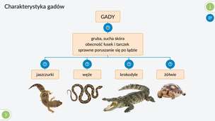 Interaktywne Plansze Przyrodnicze. Biologia. Klasy 5-8