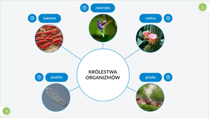 Interaktywne Plansze Przyrodnicze. Biologia. Klasy 5-8