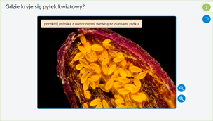 Interaktywne Plansze Przyrodnicze. Biologia. Klasy 5-8