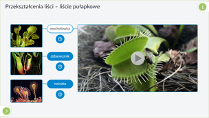Interaktywne Plansze Przyrodnicze. Biologia. Klasy 5-8