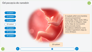 Interaktywne Plansze Przyrodnicze. Biologia. Klasy 5-8
