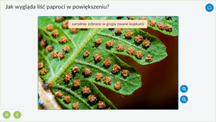 Interaktywne Plansze Przyrodnicze. Biologia. Klasy 5-8