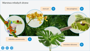 Interaktywne Plansze Przyrodnicze. Geografia. Klasy 5-8