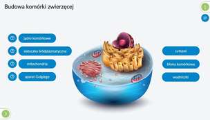 Interaktywne Plansze Przyrodnicze. Biologia. Klasy 5-8