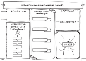 Biologia. Graficzne karty pracy dla klasy 7