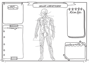 Biologia. Graficzne karty pracy dla klasy 7