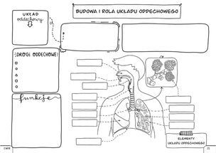 Biologia. Graficzne karty pracy dla klasy 7