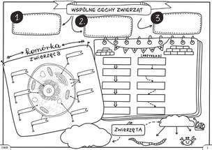 Biologia. Graficzne karty pracy dla klasy 6