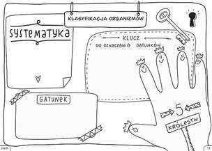 Biologia. Graficzne karty pracy dla klasy 5