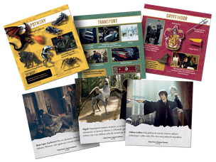 BrainBox Harry Potter - gra na spostrzegawczość i refleks