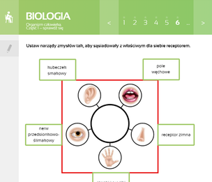 Multimedialne Pracownie Przedmiotowe. Biologia. Klasy 5-8 (wersja pudełkowa – dla nauczycieli)