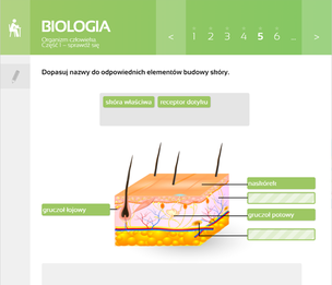 Multimedialne Pracownie Przedmiotowe. Biologia. Klasy 5-8 (wersja pudełkowa – dla nauczycieli)