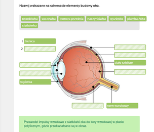 Multimedialne Pracownie Przedmiotowe. Biologia. Klasy 5-8 (wersja pudełkowa – dla nauczycieli)