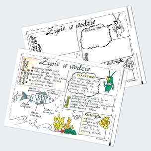 Sketchnotki. Przyroda szkoła podstawowa - graficzne karty pracy